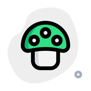 Fresh champignon mushroom rich in vitamins.