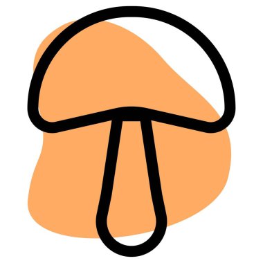 Closeup of fresh milky mushroom.