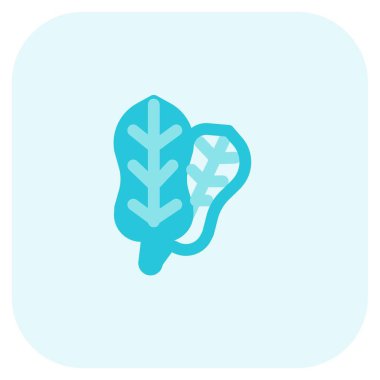 Spinach, leafy edible part of plant.