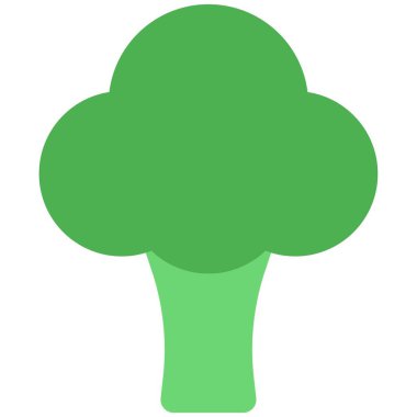 Green broccoli, a popular cuisine ingredient.