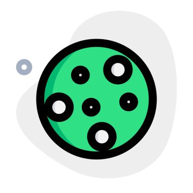 Fresh baked cookies topped with crispy choco chips