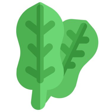 Spinach, leafy edible part of plant.