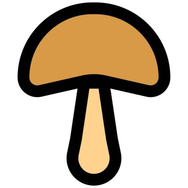 Closeup of fresh milky mushroom.