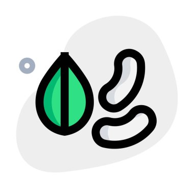 Natural mixed dry fruits with various benefits.