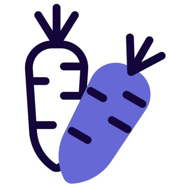 Crunchy organic radishes used in salad.