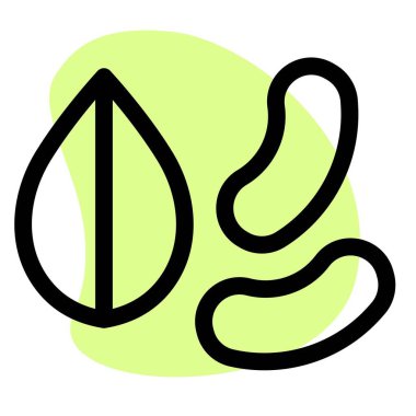 Natural mixed dry fruits with various benefits.