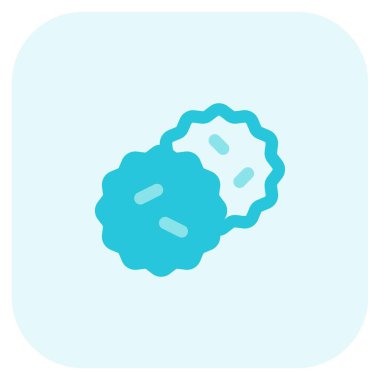 Pair of crunchy sprinkles cookies