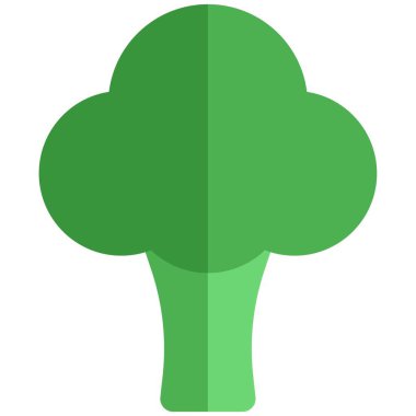 Green broccoli, a popular cuisine ingredient.