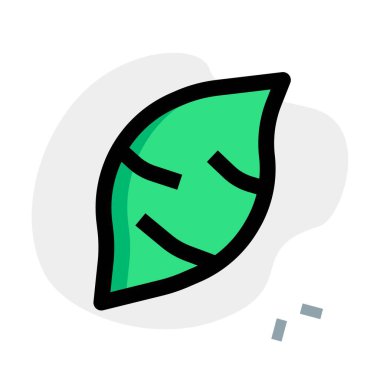 Sweet potato containing antioxidant properties