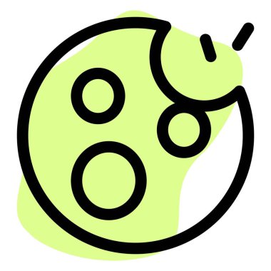 Bitten sweet chocolate chip cookie