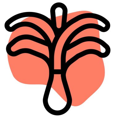 Leek vegetable, an add-on for cuisines.