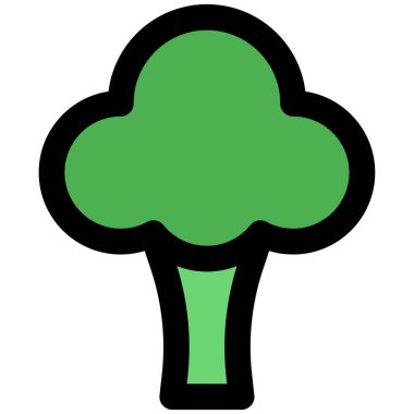 Green broccoli, a popular cuisine ingredient.