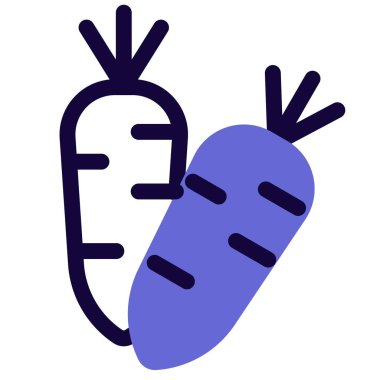 Radish, an edible root vegetable.