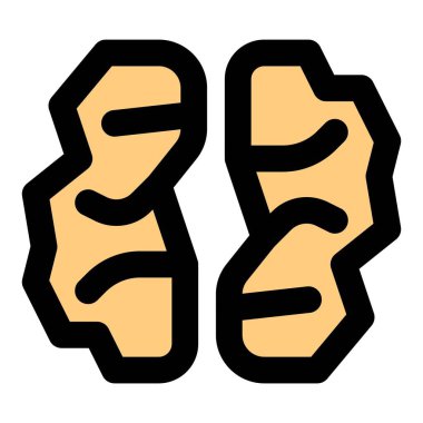 Dried walnut seeds eaten raw as snack