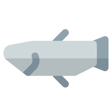 Raw fish kept for preparing meal