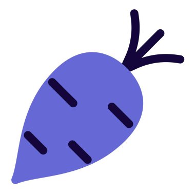 Seasonal winter vegetable, raw turnip.