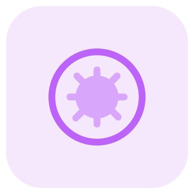 Kiwi fruit with sweet and unique flavour.