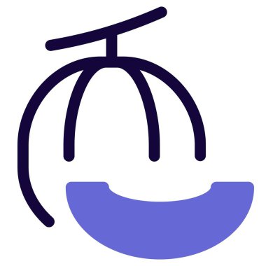 Delicious musk melon or cantaloupe.