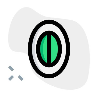 Piece of fresh organic java plum.