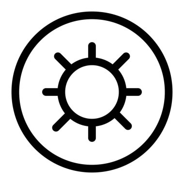 Kiwi fruit with sweet and unique flavour.