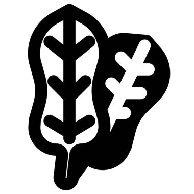 Bundle of green spinach leaves.