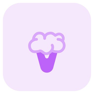 Raw cauliflower highly nutritive vegetable.