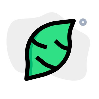 Sweet potato, starchy roots with sweet flavour.