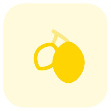 Pair of fresh java plum with stem.