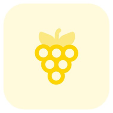 Olgun üzüm yaprakları ile demet.