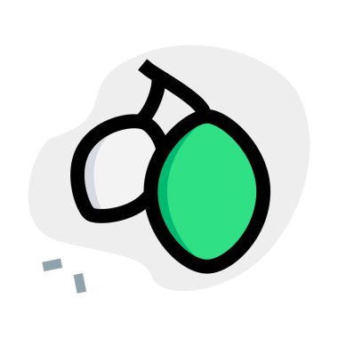 Pair of fresh java plum with stem.