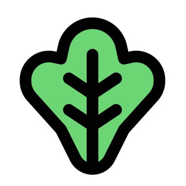 Lettuce leaf used as a salad garnish.