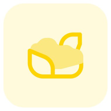 Fresh cauliflower wrapped in leaves.