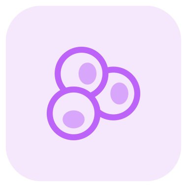 Bunch of refreshing juicy berries.