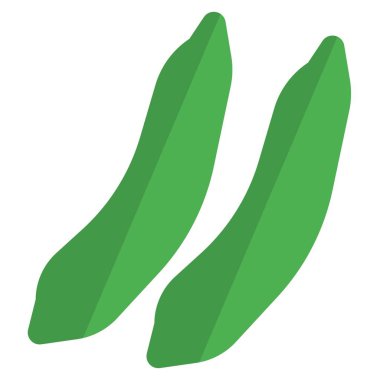 Pair of healthy fresh beans.