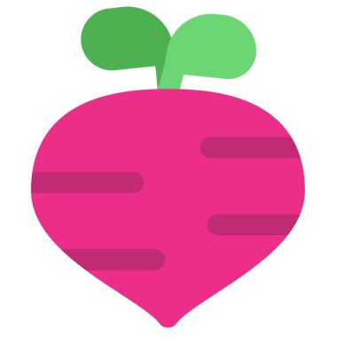 Turnip, edible root part of plant.