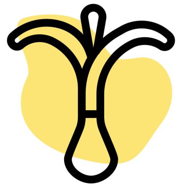 Leafy spring onion for preparing meal