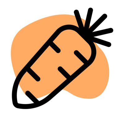 Raw radish often consumed in salad