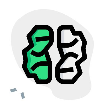 Dried walnut seeds eaten raw as snack