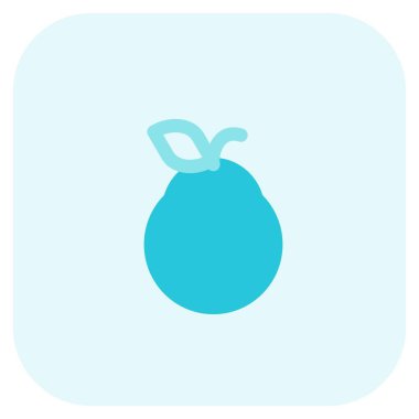 Closeup of guava fruit with leaf.