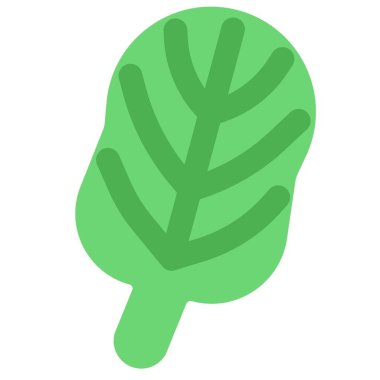 Spinach can be consumed raw in salad.