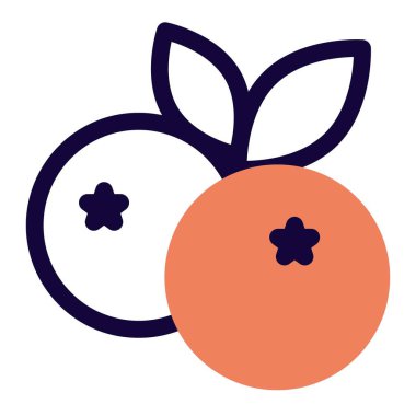 Pair of juicy blueberries with leaves.