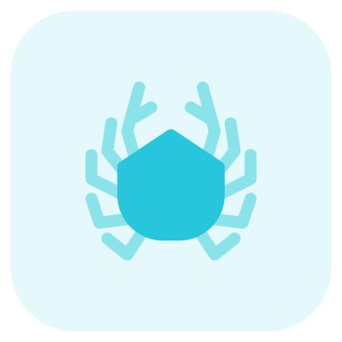 Dish of yummy cooked crab.