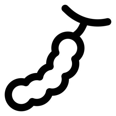 Tamarind, a tropical pod like fruit.