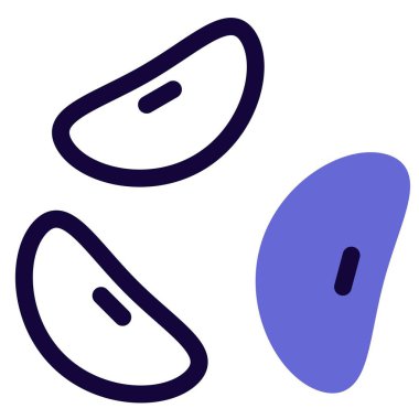 Kidney beans, commonly used in numerous meals.