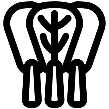 Leafy swiss chard kept for meal