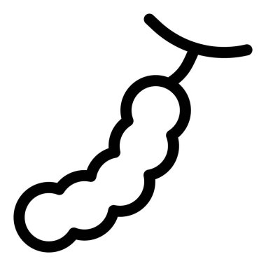 Tamarind, a tropical pod like fruit.