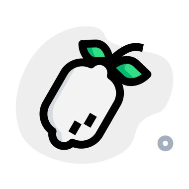 Lemon with a citrus taste and leaves.