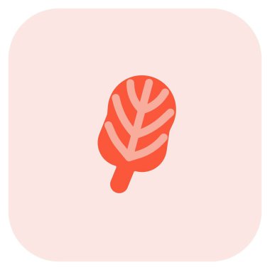 Spinach can be consumed raw in salad.