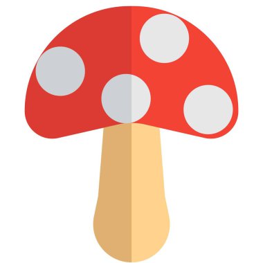 Ripe fleshy mushroom full of nutrients.