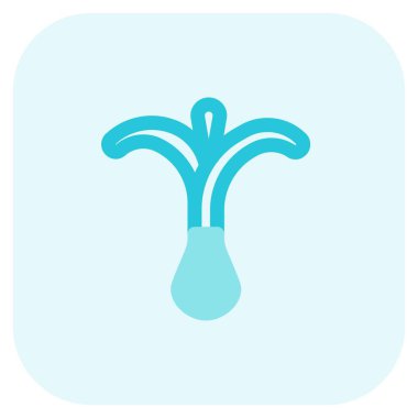 Leafy spring onion for preparing meal